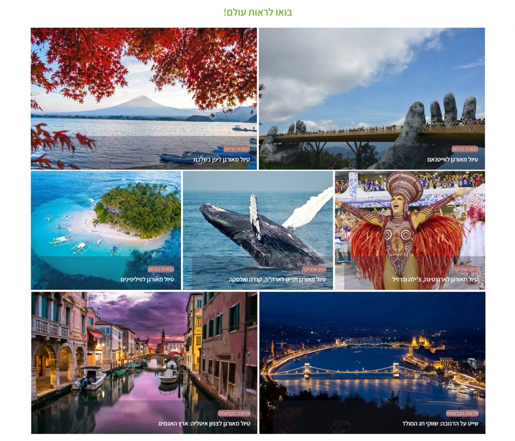 מאמר אפיון אתרים