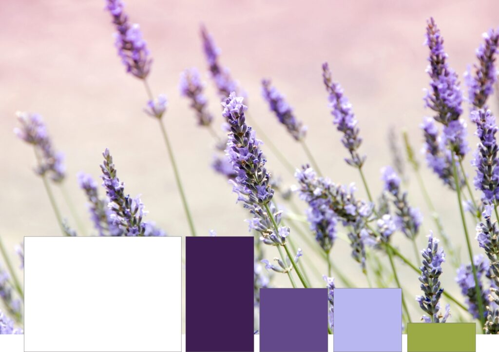 צבעים בבניית אתרים: שימוש בצבע כדי להעביר את המסר שלך 2 פלטת צבהים בהירה