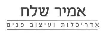 אמיר שלח